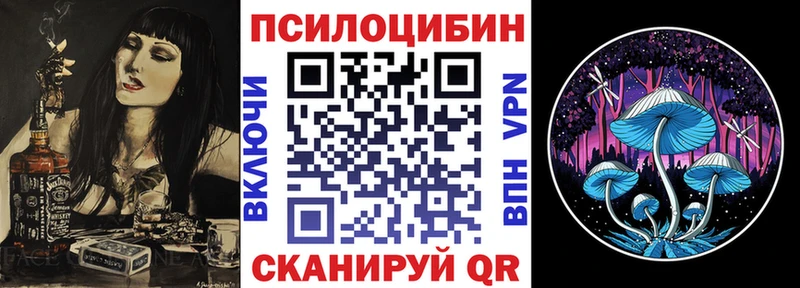 Купить закладки  Десногорск  Псилоцибиновые грибы Psilocybe 
